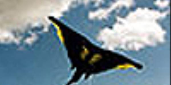 Manta