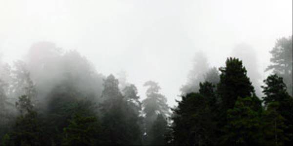 2013